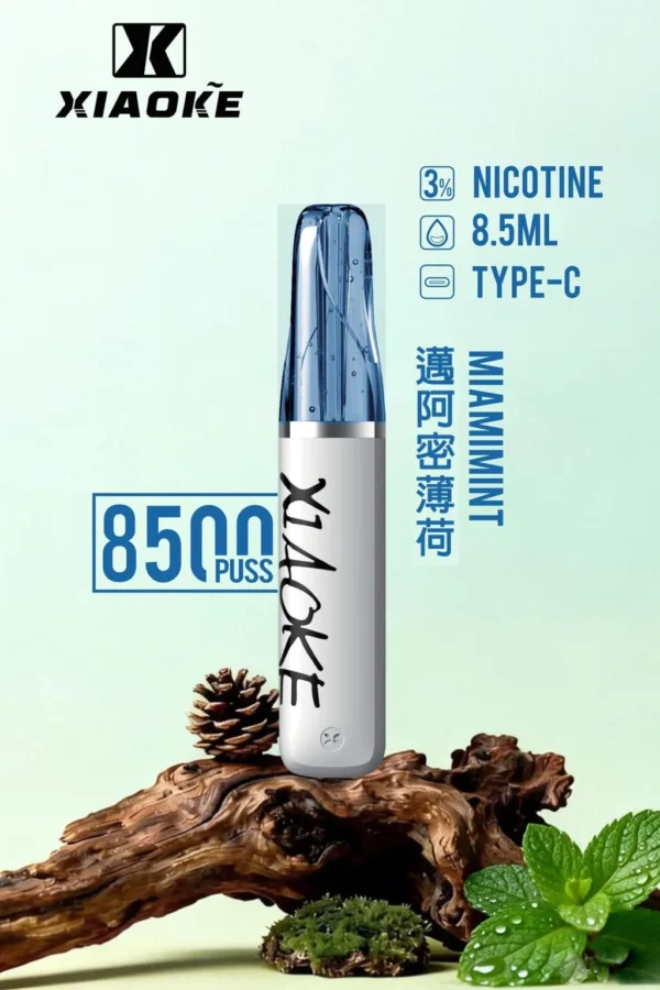 27763104a941bdf31156bc0c11499293-1024x1536.jpg XIAOKE 梟客 8500口拋棄式電子煙 便攜輕巧機身 3%尼古丁鹽 外出使用推薦 台灣現貨