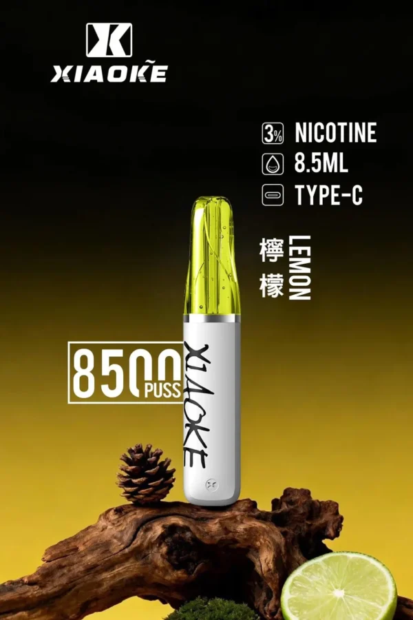 d185d7e28615e84aca893d861a0e04f4-1024x1536.jpg XIAOKE 梟客 8500口拋棄式電子煙 便攜輕巧機身 3%尼古丁鹽 外出使用推薦 台灣現貨